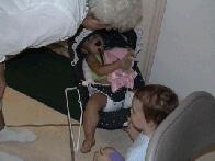 Playing With Brinkley...