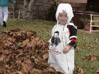 Leaves Are Fun...