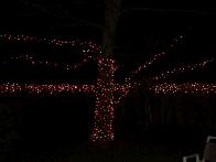 Two More Tree's To Go :-)
